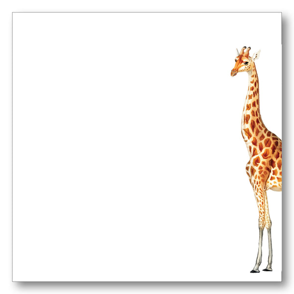 Giraffe NB