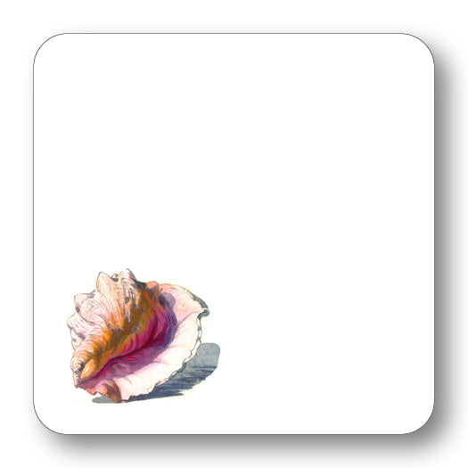 Conch Shell GC