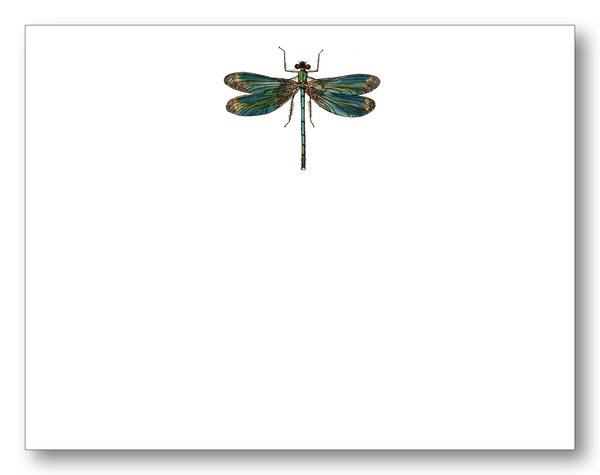 Dragonfly FCE