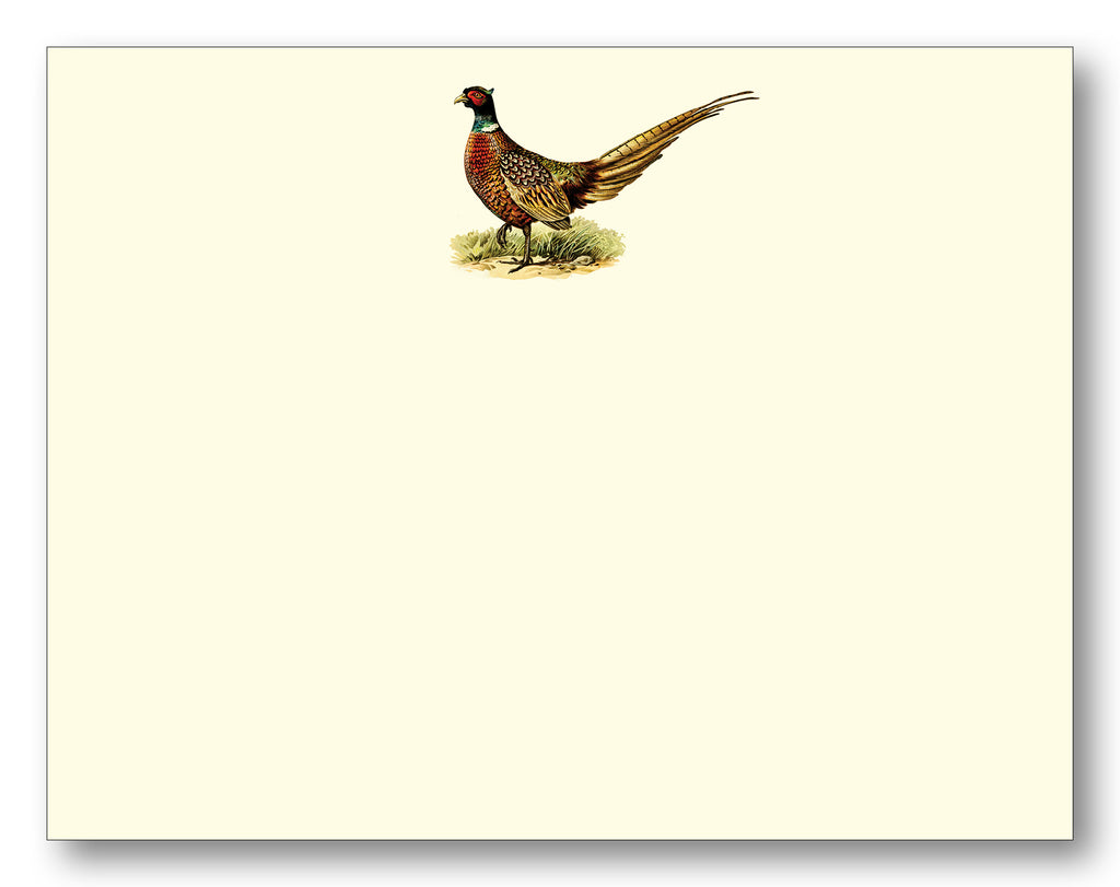 Pheasant Full Color Flat Cards