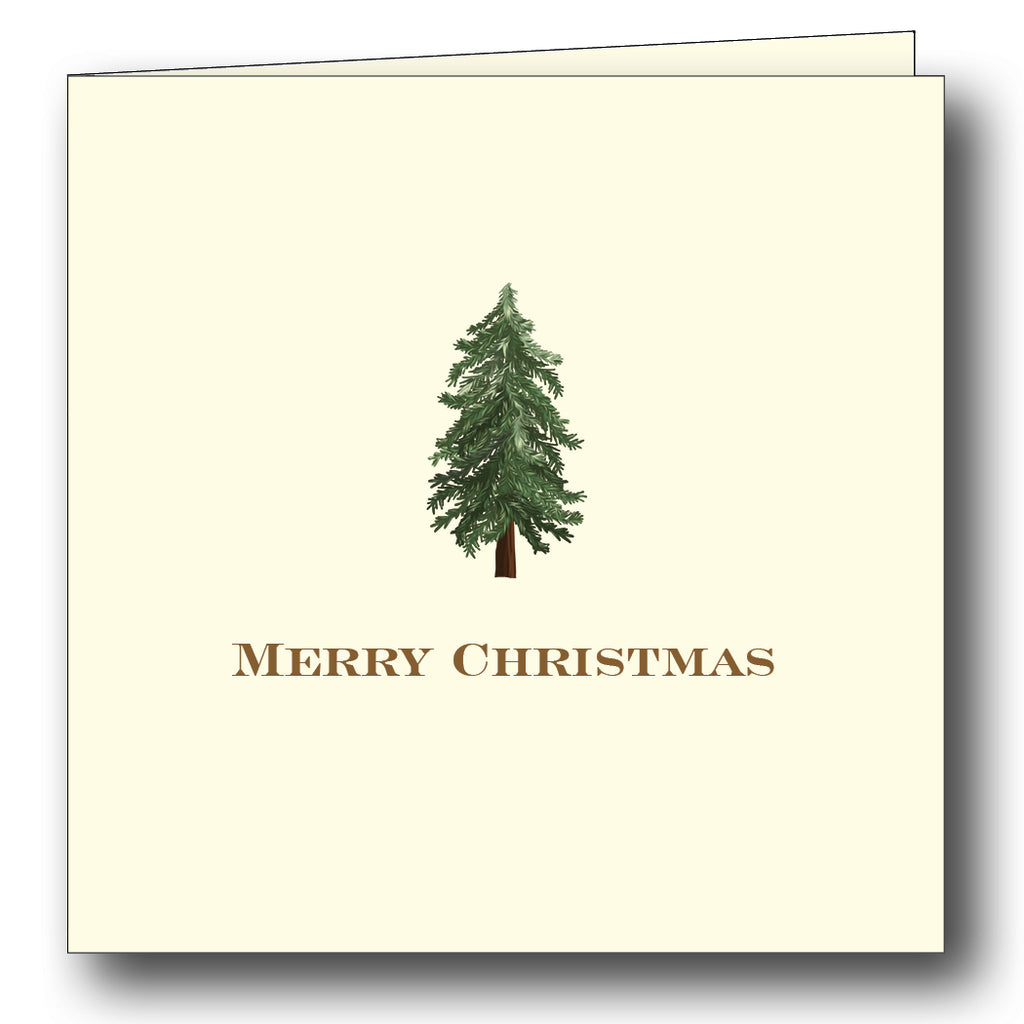 Christmas Fir Folded Gift Cards