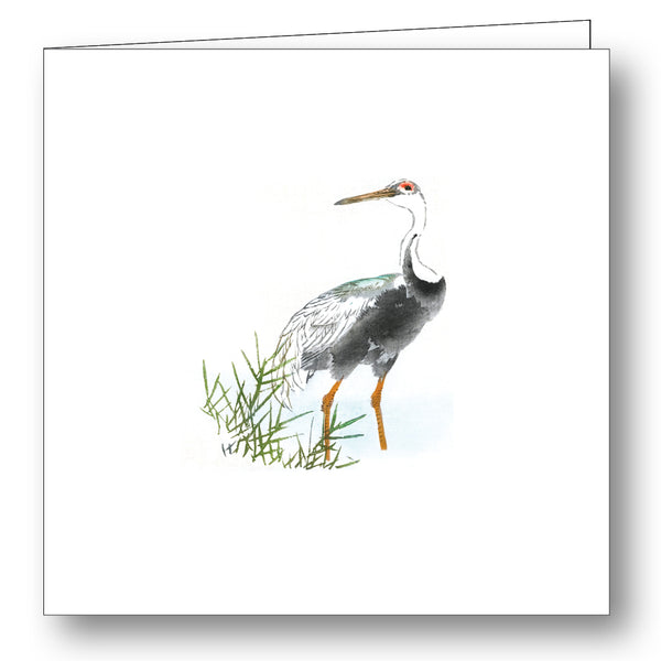 Tricolor Heron Folded Gift Cards